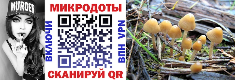это какой сайт  Райчихинск  Псилоцибиновые грибы мицелий 